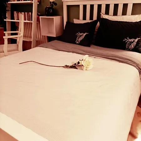 Accueillant Au Coeur De 30 M² Inclus דירה