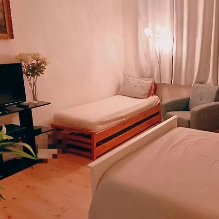 Accueillant Au Coeur De - 30 M² - Inclus.