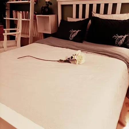 Accueillant Au Coeur De - 30 M² - Inclus. *