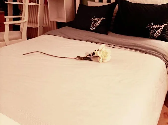 Accueillant Au Coeur De - 30 M² - Inclus. Apartment